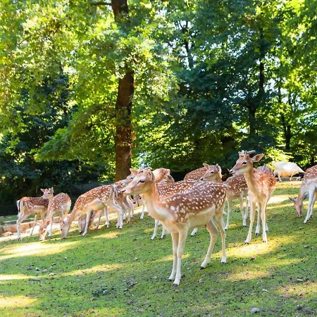 A Casa Di Chiara 2 *